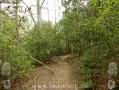 Appalachian Trail - Georgia - 