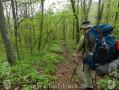 Appalachian Trail - Georgia - 