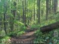 Appalachian Trail - Georgia - 