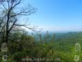 Appalachian Trail - Georgia - 