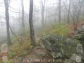 Appalachian Trail - Georgia - 