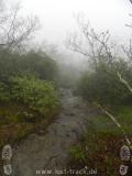 Appalachian Trail - Georgia - 