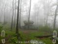 Appalachian Trail - Georgia - 