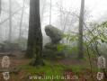 Appalachian Trail - Georgia - 