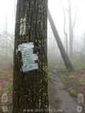 Appalachian Trail - Georgia - 