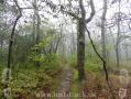 Appalachian Trail - Georgia - 