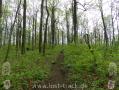 Appalachian Trail - Georgia - 