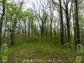 Appalachian Trail - Georgia - 