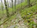 Appalachian Trail - Georgia - 