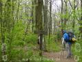 Appalachian Trail - Georgia - Amicalola Falls Approach Trail