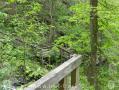 Appalachian Trail - Georgia - Amicalola Falls Approach Trail